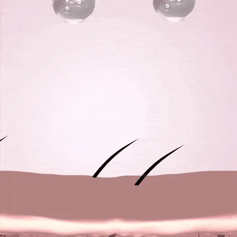 Bello Hair Growth Shampoo