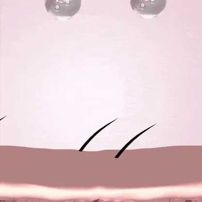 Bello Hair Growth Shampoo