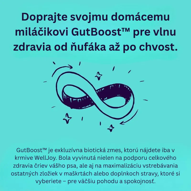 Joint + GutBoost Dog Treats