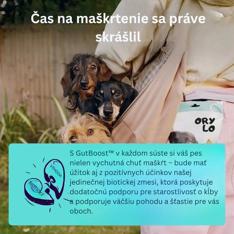 Joint + GutBoost Dog Treats