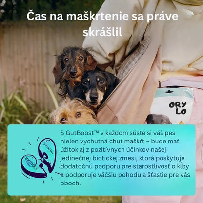Joint + GutBoost Dog Treats